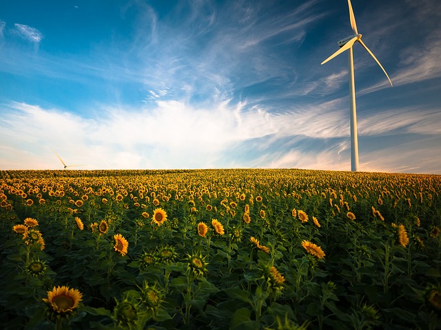 Hybrid Alternative Energy Energy System Combing Solar With Wind Energy