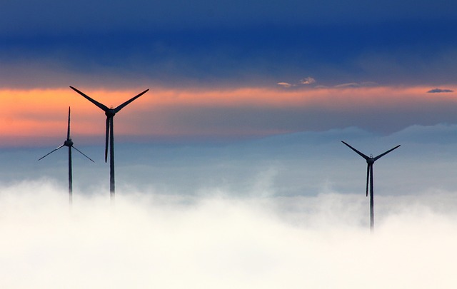 Top 5 Things To Consider When Opting For Home Wind Energy  Systems