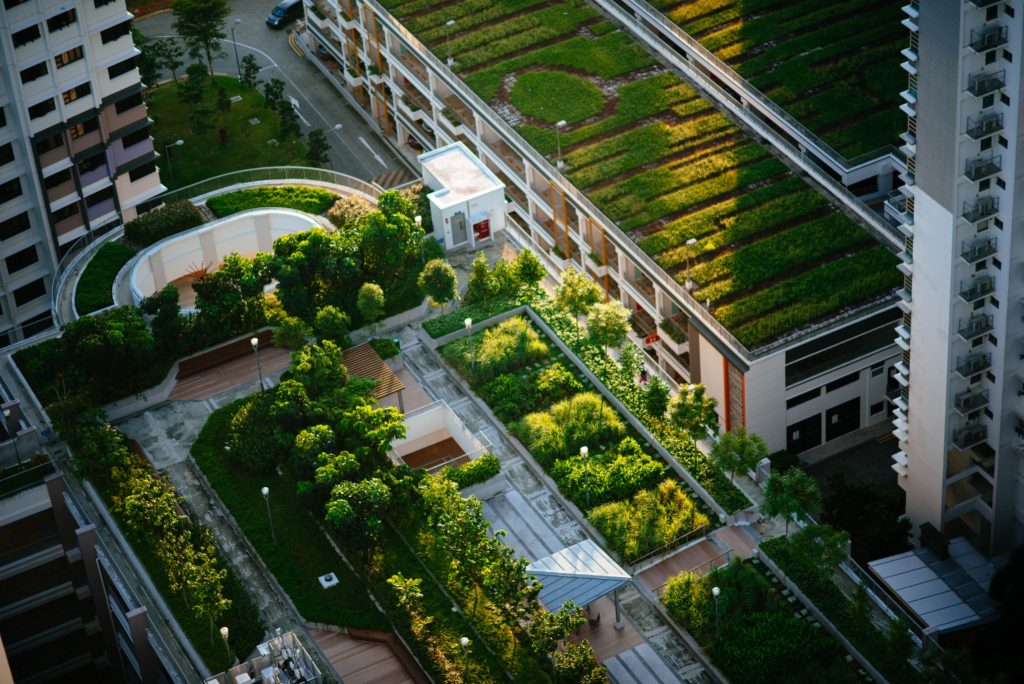 Creating Resilient Cities through Green Infrastructure