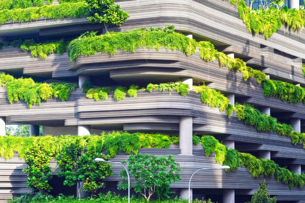 green infrastructure for creating resilient cities