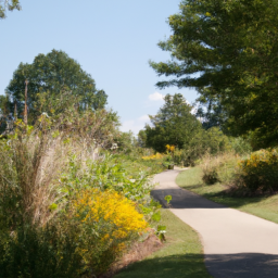 Green Streets for Enhancing Water Quality and Neighborhood Aesthetics