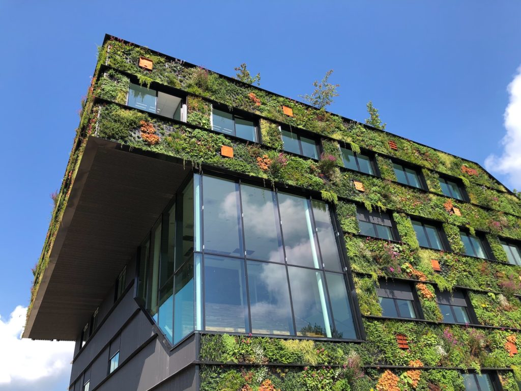 green roof concrete building